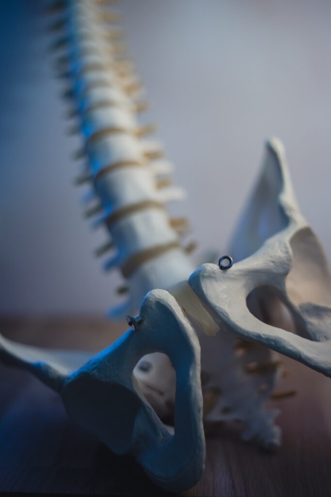 Interview with Isabel Hartounian, pelvic floor therapist
